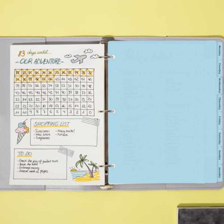 3 diviseurs de classeur à 8 la - Tab Divider A4 avis et prix